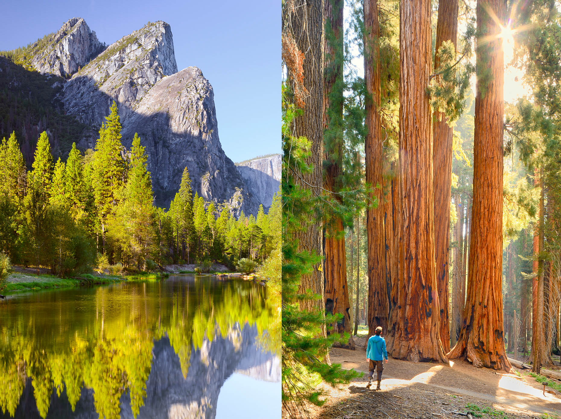 Yosemite_A_collage_APF