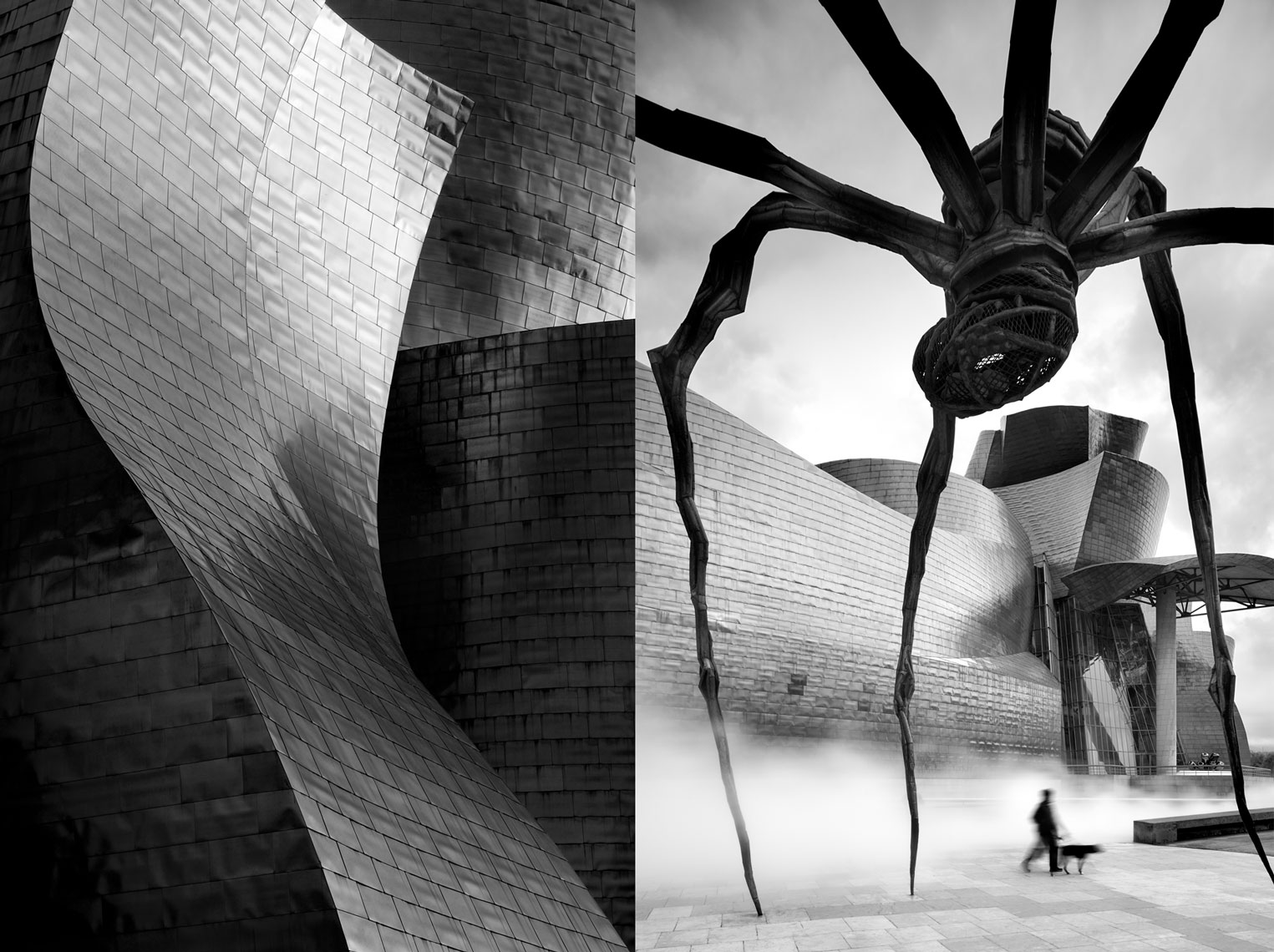 bilbao_guggenheim_bw_APF