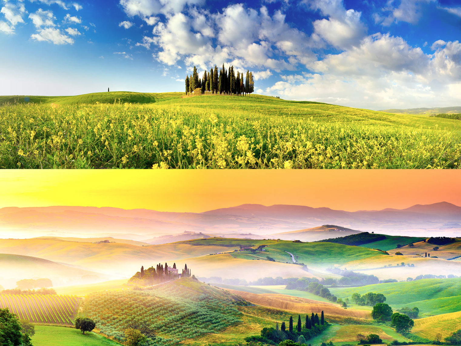 collages_orcia_B_APF